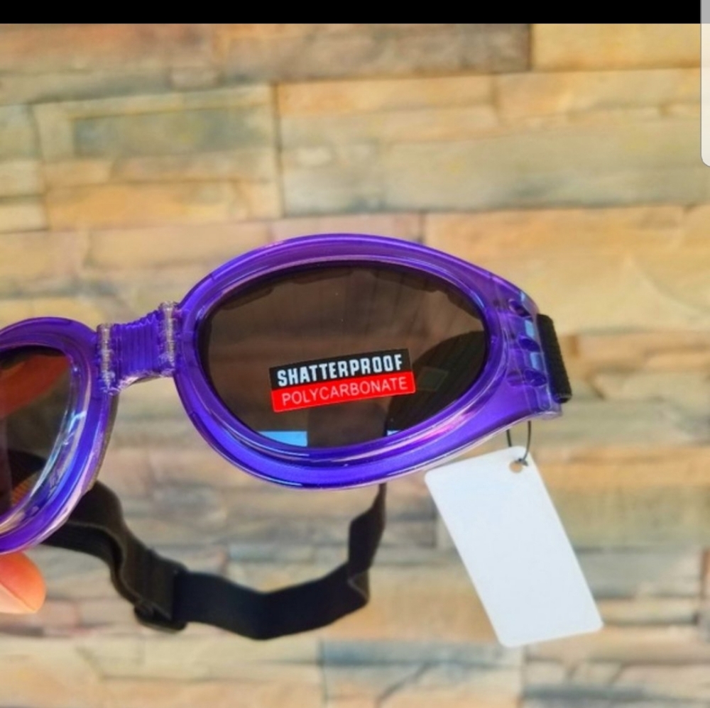 Purple Goggles Googles Motorcycle Padded Women